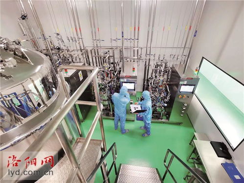 洛阳惠中生物技术 研发高端疫苗产品 为畜牧业保驾护航
