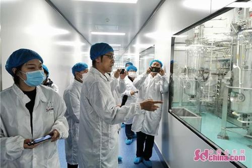 石药集团烟台生物医药高科技产业园 全国最大的生物医药产业化基地