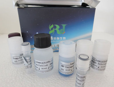 人胆碱乙酰化酶(CHAc)ELISA试剂盒厂家_南京森贝伽生物科技_丁香通