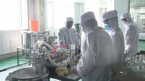 猴头菇精深加工生产忙 企业开足马力迎旺季