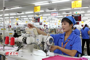 青岛即发 农村手工业档发合作社的国际化与生物科技研发之路