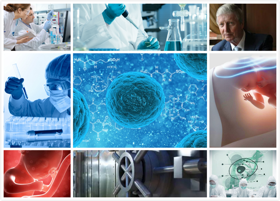 鼎华生物科技 创新驱动生物科技研发的未来